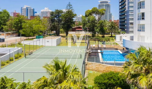 Apartamento En Alquiler Y Venta Piso Alto - Casino Tower