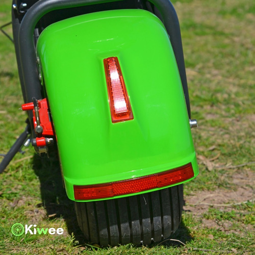 Imagen 4 de 8 de Moto Electrica Citycoco 2023 / Cuotas / - Kiwee Chascomús