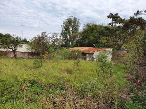Imagem 2 de 4 de Venda: Excelente Terreno Em Localização Privilegiada No Vale Do Igapó - Te00263