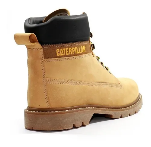 Borceguies caterpillar 2025