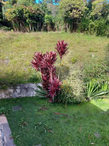 Casa, Miranda, Club De Campo