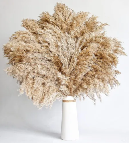 60 Pcs Decor Boho, Hierbas Secas Naturales, Modelo 17 Pulgad