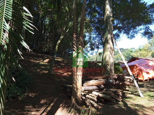 Imagem 14 de 28 de Chácara Medindo 1 Alqueire Paulista Em Juquitiba Sp Ref.: 0955