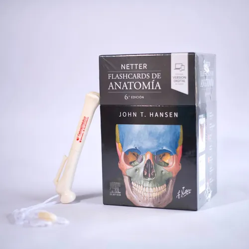 Cuaderno De Anatomia Para Colorear + Flashcards De Anatomia
