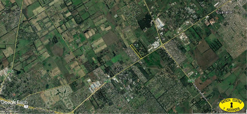 Imagen 2 de 3 de 2398aa-10 Has Moreno S/ Ruta 24 S/ Sanfernando