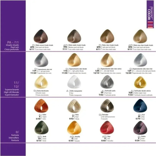 12 Tinturas Primont Color Coloración Profesional 120g