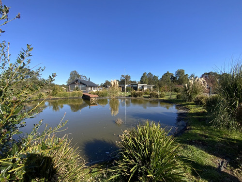Cod-469 Se Vende Preciosa Casa Con Cabaña En Frutillar