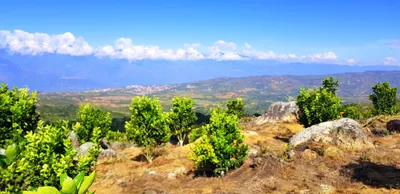 Finca en venta