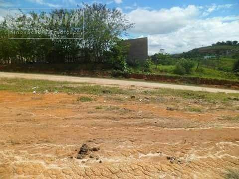Imagem 6 de 6 de Terreno A Venda - 2686805
