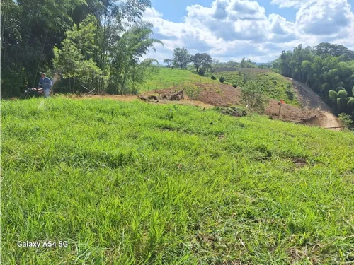 Venta Lotes En Quimbaya -quindío Colombia Cod: 7555717