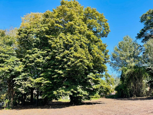 Amplio Lote De Terreno En Excelente Ubicación En Sierra De Los Padres