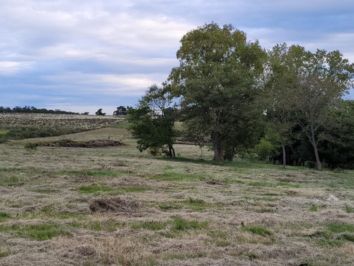 Imagen 11 de 20 de Venta De Hermosas Chacras: Barrio De Chacras El Colorado De Migues Ruta 88 A 10 Km. De Tapia Y 5 De Migues.
