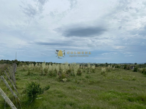 Campo En Garzon - Ideal Para Uso De Descanso - Consulte!!!!- Ref: 3606