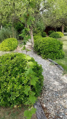 Imagen 3 de 9 de Casa En Cordoba Con Gran Parque Y Pileta