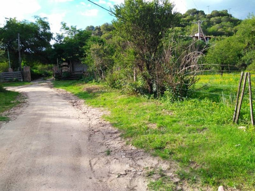 Terrenos O Lotes Venta San Lorenzo
