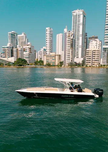 Lancha Deportiva 34