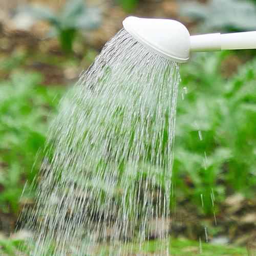 . Regadera Grande Para Jardín, 4 L De Largo, Para Plantas,