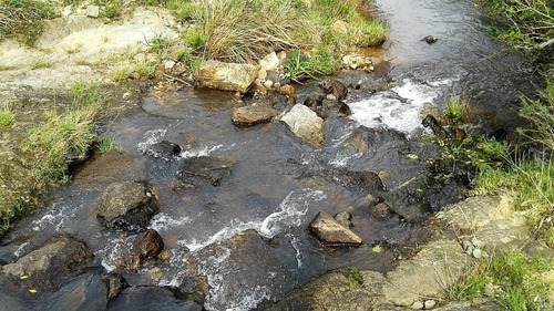 Campo Ganadero En Ruta 60