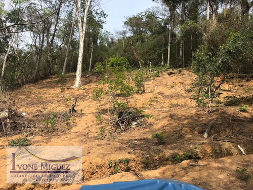 Imagem 12 de 15 de Prédio Inteiro Em Centro - Paty Do Alferes - 3149