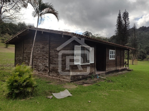 Imagem 22 de 30 de Excelente Sitio Com Topografia Plana, Rico Em Aguá - 12 - 69839868