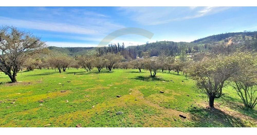 Parcela 1,5 Ha. Casa 3d, Orozco, Quilpué