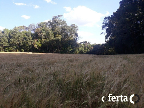 Imagem 13 de 14 de Chacara - Tiete - Ref: 573 - V-573