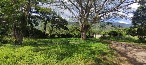 Imagen 11 de 12 de Finca En Venta Mina De Arena El Cambur. Estado Carabobo