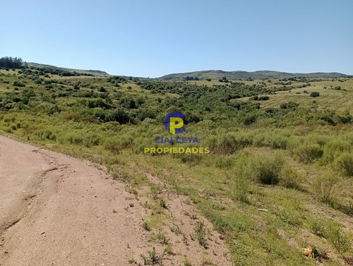 Imagen 6 de 12 de 10 Hectáreas En Las Cañas