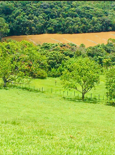 Imagem 4 de 14 de F16- Lotes 10000m Em Igaratá,excelente Acesso