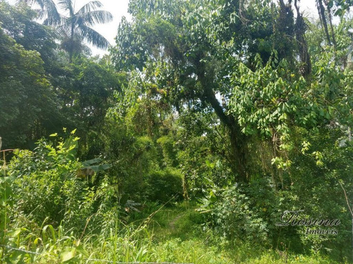 Imagem 17 de 20 de Terrenos A Venda No Barro Barro Branco A Partir De 55 Mil-negociáveis - Te0120