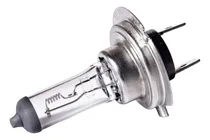 Comprar Lampara Kobo H7 24v 70w Halogena Blanco Estandar Camion