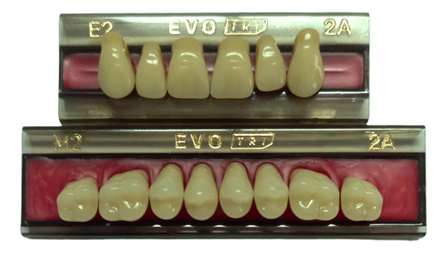 Dente Evotri - Evoden Bc De 14 E2 Com M2 Sup. Cor 2a