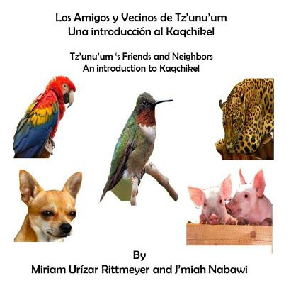 Libro Los Amigos Y Vecinos De Tz'unu'um - Una Introduccio...