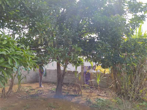Imagem 1 de 15 de Terreno Parque São Martinho - Bitr00033