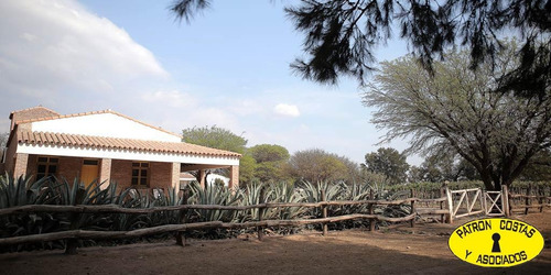 2071hp 100 Has Finca C/riego Y Hosteria. Valles Calchaquies