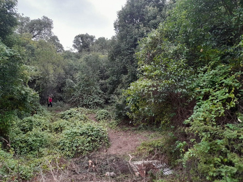 Imagen 9 de 11 de Lotes , Traslasierra-córdoba, Los Hornillos