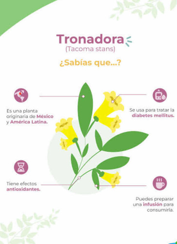 Tronadora Te 100gr Polvo