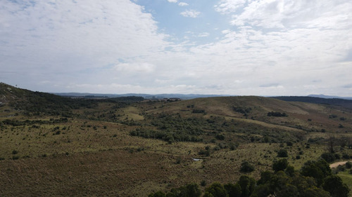 Campo En Rocha 78ha (ref: Atm-6768)