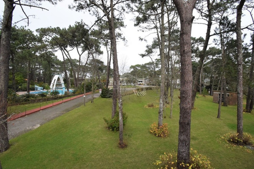 Imagen 7 de 17 de Mansa, A Pocas Cuadras Del Mar, 1 Dormitorio - Punta Del Este Mansa