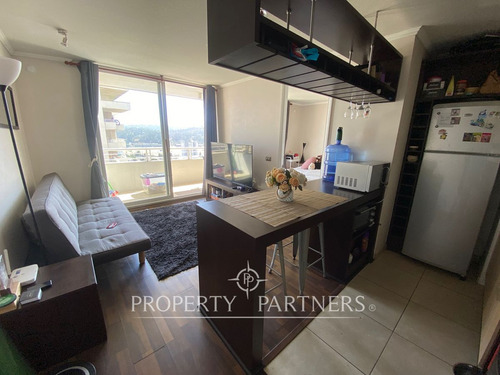 Central Departamento En Viña Del Mar