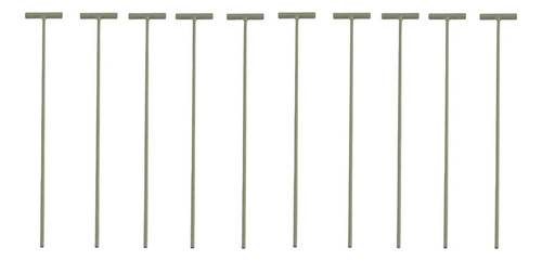 10 Trampas En T For Entrada De Pájaros De Paloma, Marco