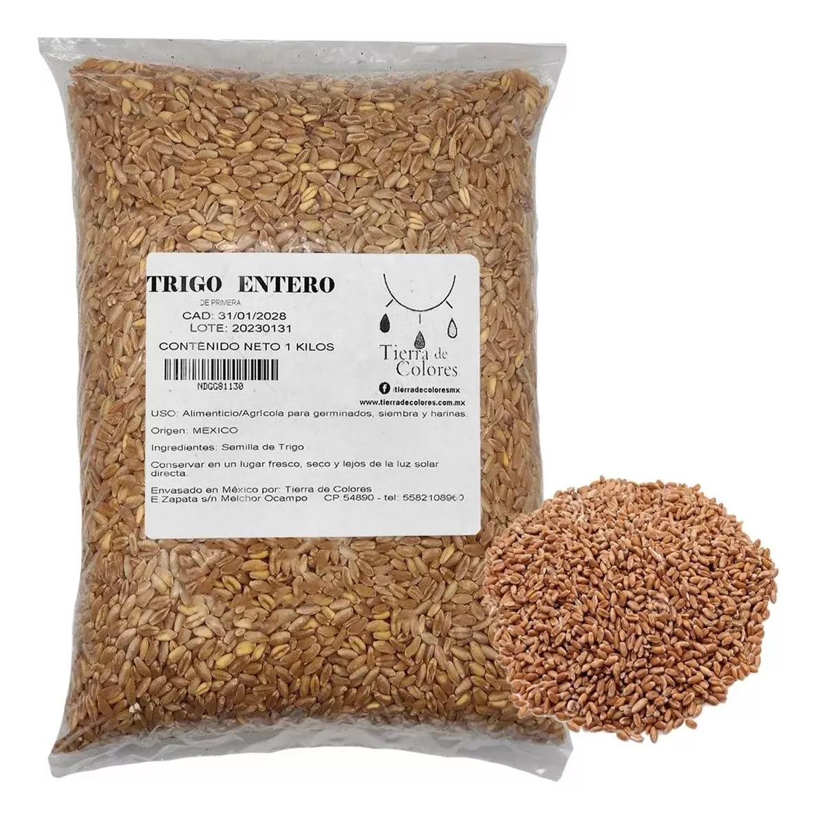 Tercera imagen para búsqueda de trigo sarraceno por kilo