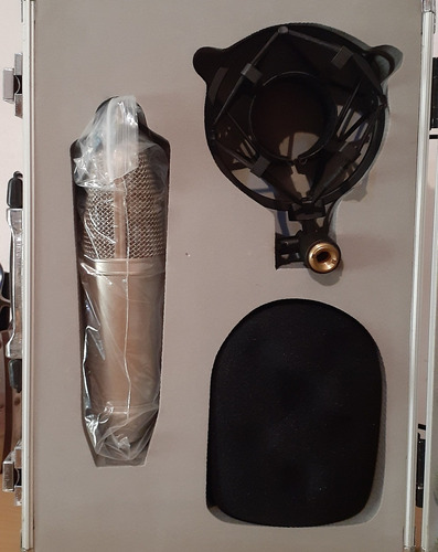 Microfono Behringer B-1 Pro De Condensador De Diafragma 
