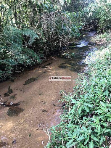 Imagem 5 de 30 de Chácara 12.000 M, Com Cachoeira - Ch0075