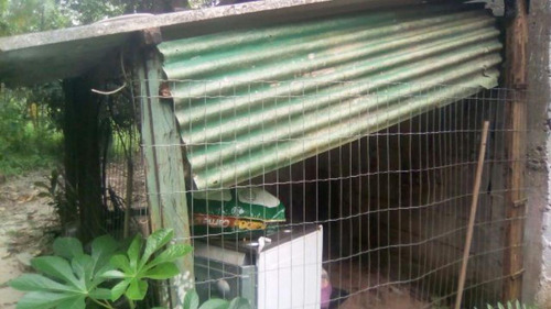 Chácara Com 3 Com Carpas No Bopiranga Em Itanhaém - 3952 Npc