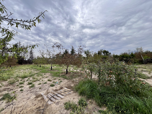 Casa Cómoda Con Plantación De Nogales En Producción