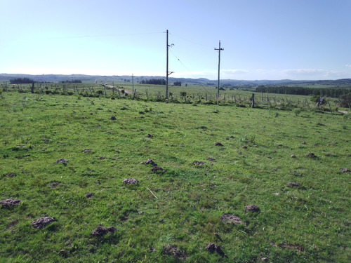 Campo De 110 Hectáreas, Con Arroyo, Buen Acceso