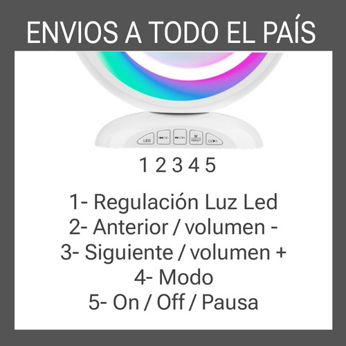 Parlante Inalámbrico Con 2 Micrófonos Bluetooth Karaoke Led Negro