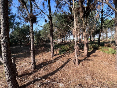 Imagen 14 de 15 de Venta Terreno Financiable Lomas De Solymar Canelones