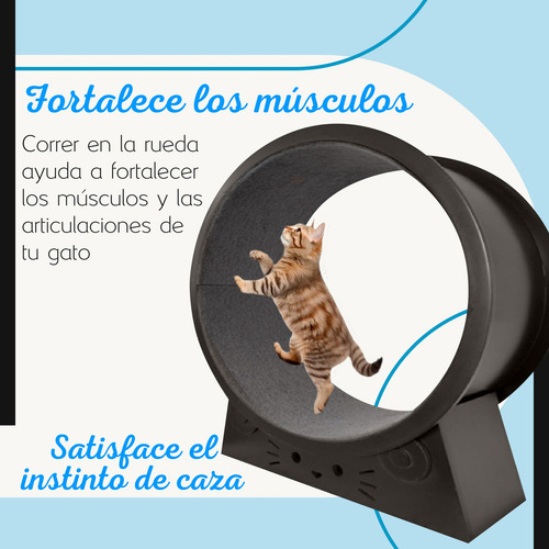 Rueda De Correr Para Gato Madera Juguete Y Ejercicio Mediana